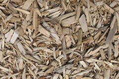 biomass boilers Timble